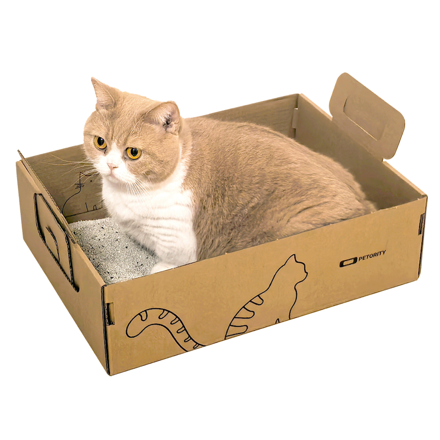 Petority Disposable Cat Litter Box-6pcs