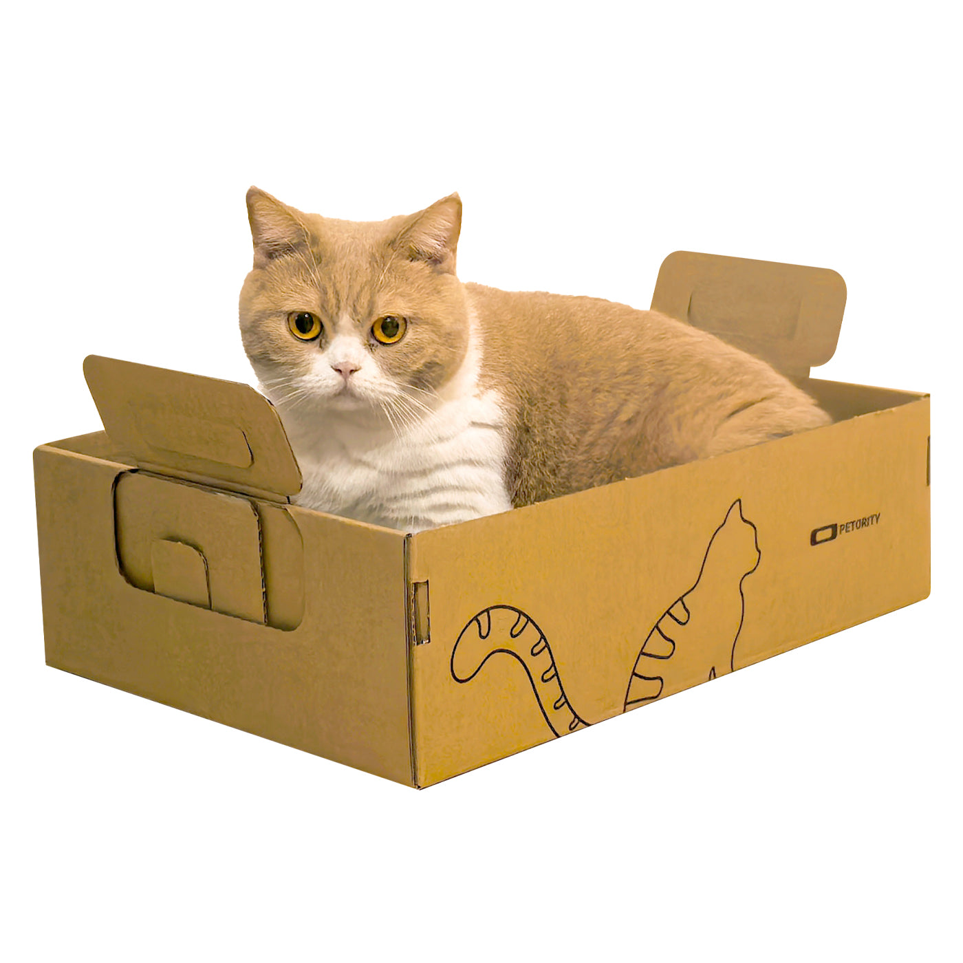 Petority Disposable Cat Litter Box-6pcs