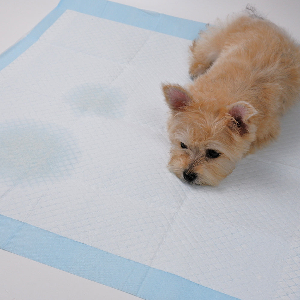 PETORITY TRAINING PADS