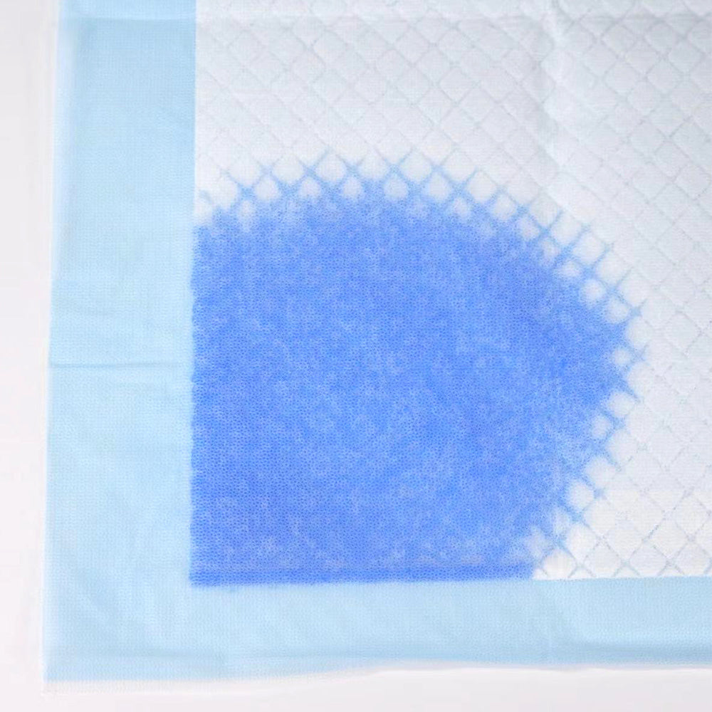 PETORITY TRAINING PADS